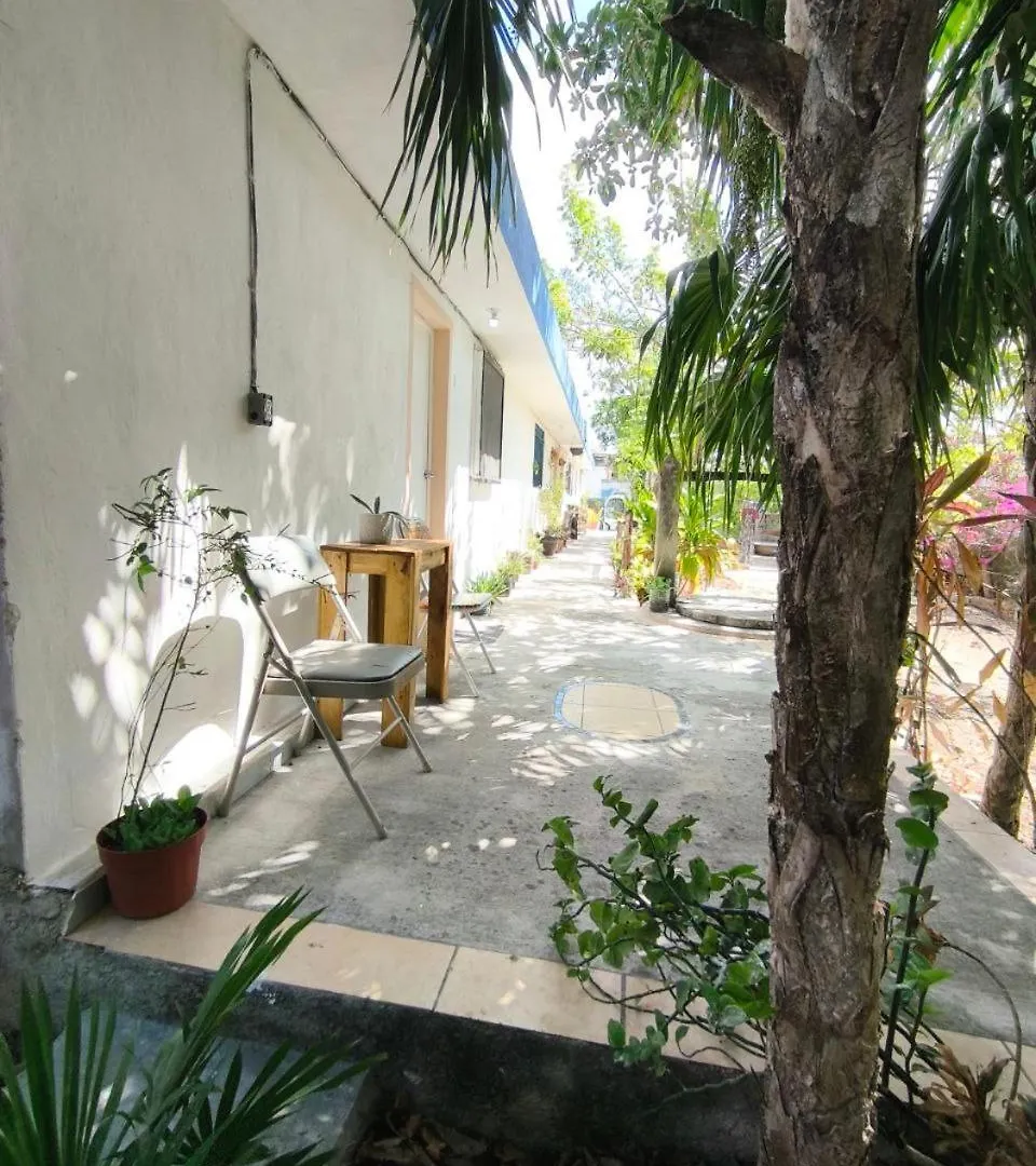 Studios Yaxkin, Located In Downtown Cozumel Apartment