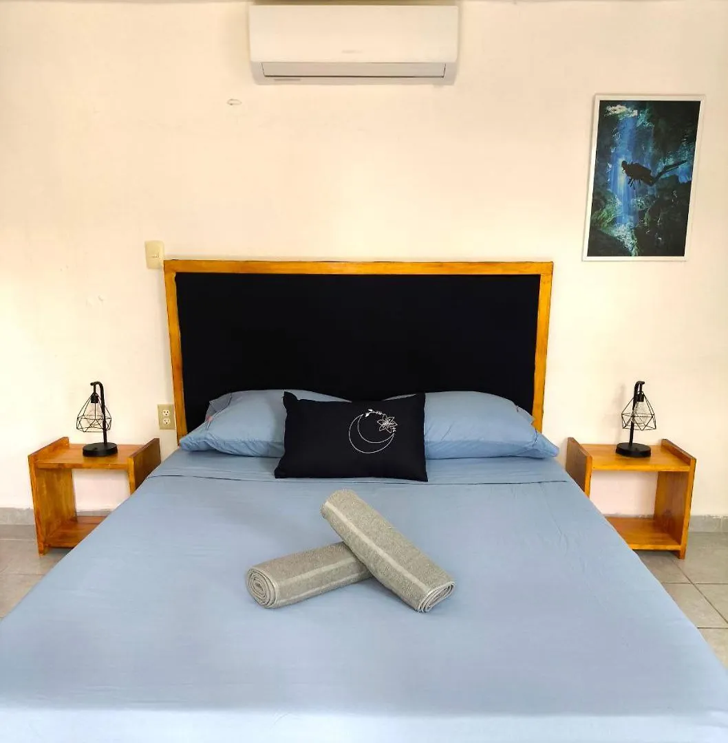 Studios Yaxkin, Located In Downtown Cozumel Apartment