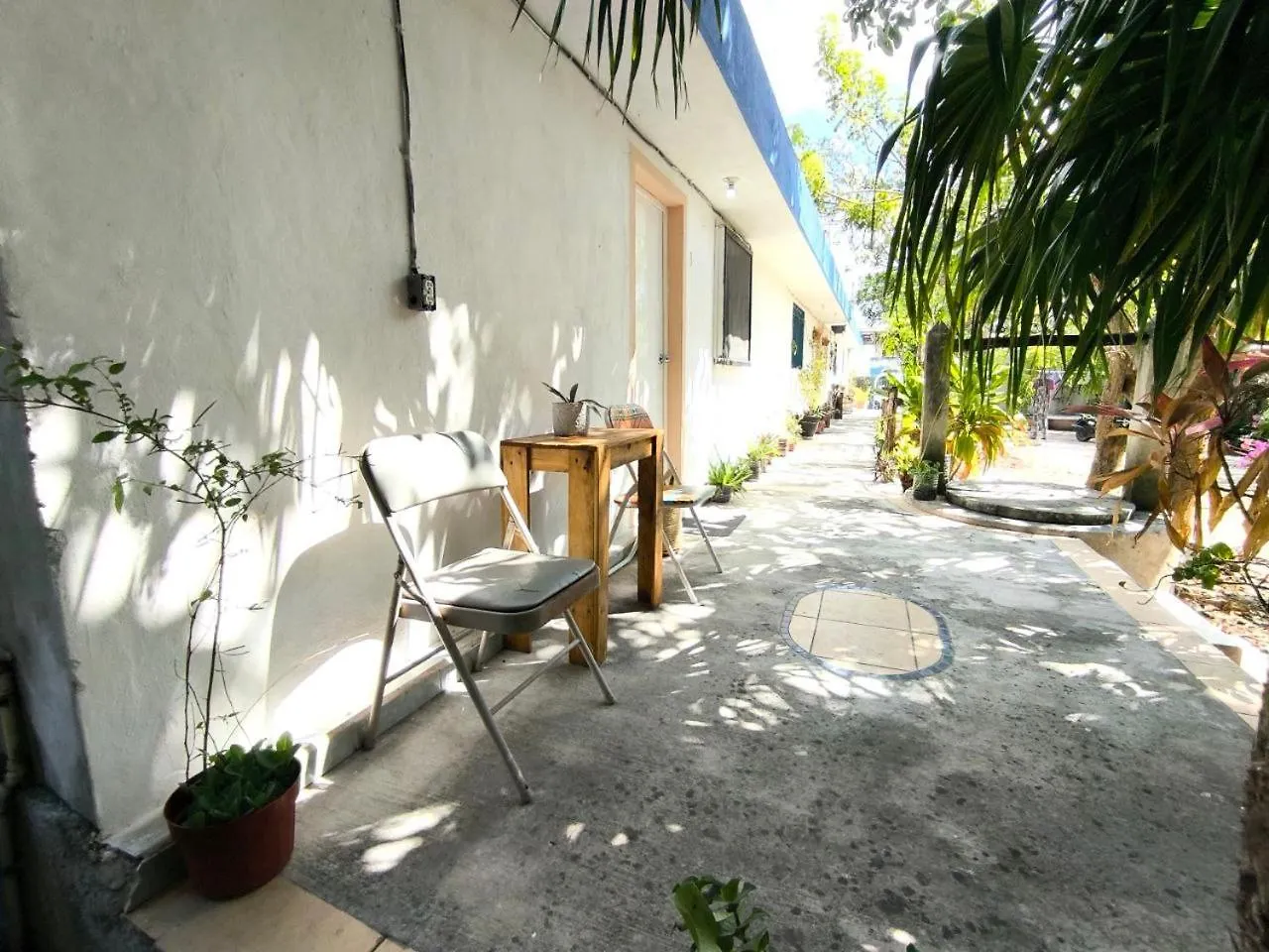 Studios Yaxkin, Located In Downtown Cozumel Apartment