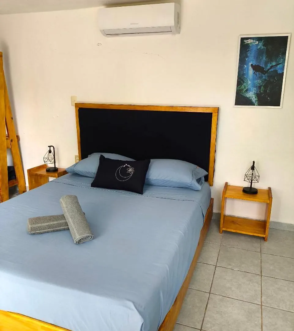 Apartment Studios Yaxkin, Located In Downtown Cozumel