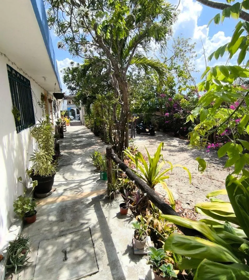 Studios Yaxkin, Located In Downtown Cozumel Apartment