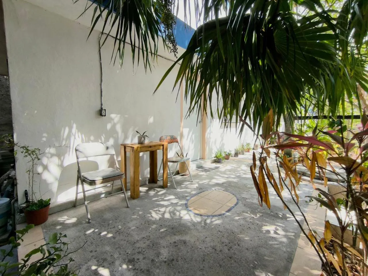Studios Yaxkin, Located In Downtown Cozumel