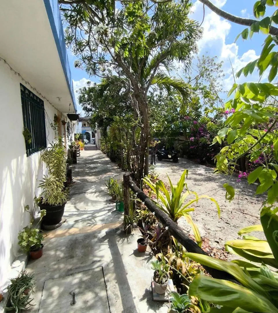 Apartment Studios Yaxkin, Located In Downtown Cozumel Mexico