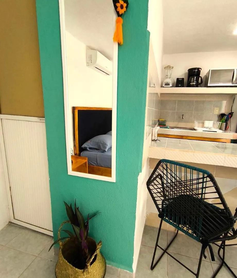 Studios Yaxkin, Located In Downtown Cozumel Apartment