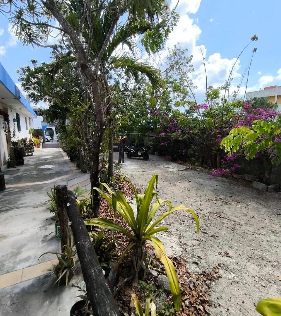Studios Yaxkin, Located In Downtown Cozumel