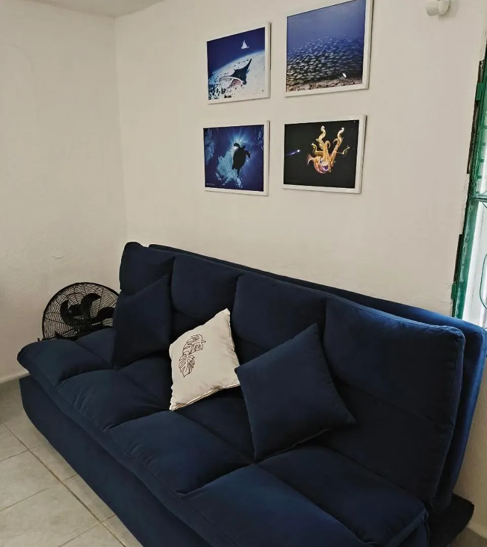 Apartment Studios Yaxkin, Located In Downtown Cozumel