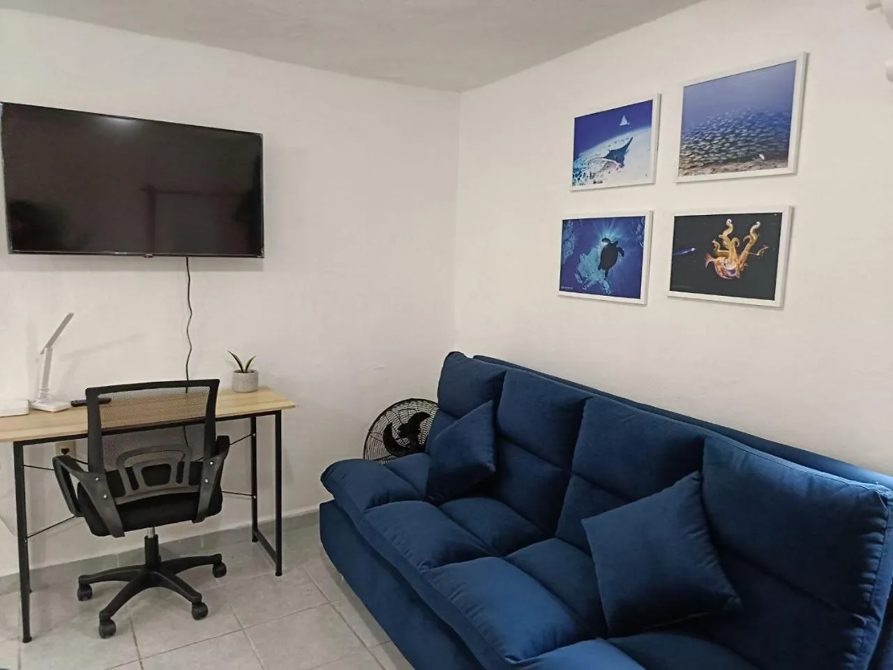 Studios Yaxkin, Located In Downtown Cozumel Apartment