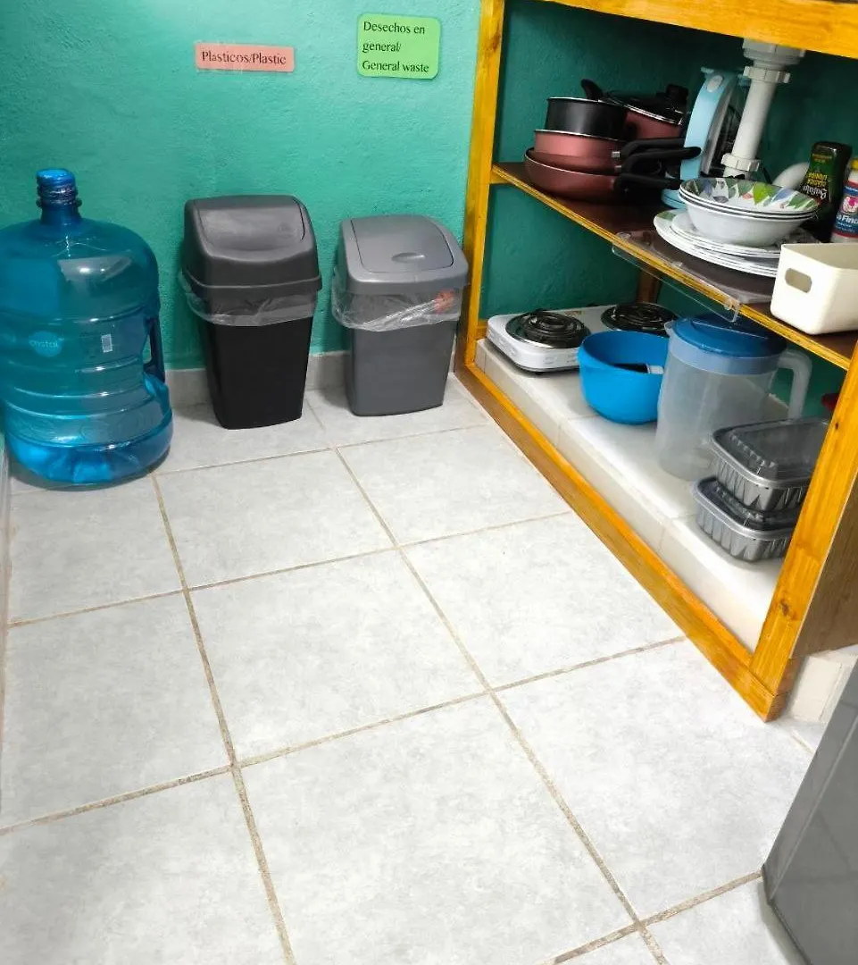 Studios Yaxkin, Located In Downtown Cozumel Apartment