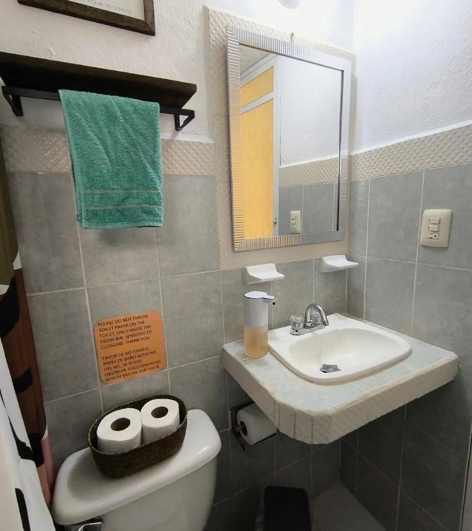 Studios Yaxkin, Located In Downtown Cozumel Apartment